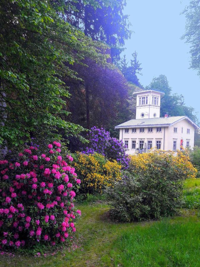 Villa Rapunzel Trifft Dornroeschen à Rosenthal-Bielatal Extérieur photo