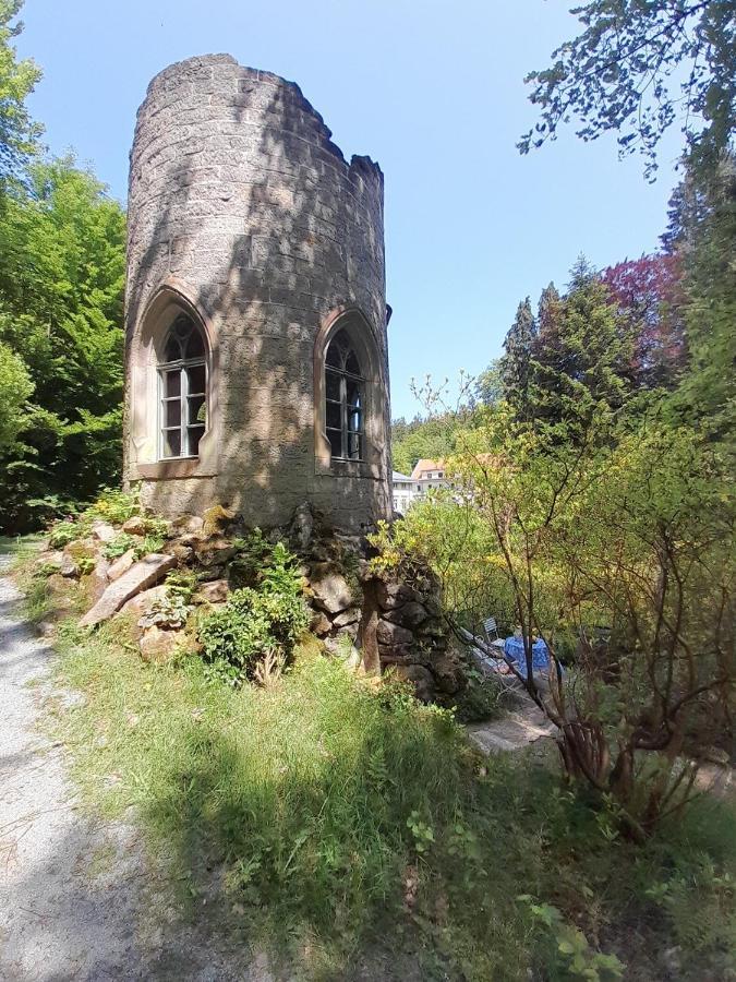 Villa Rapunzel Trifft Dornroeschen à Rosenthal-Bielatal Extérieur photo