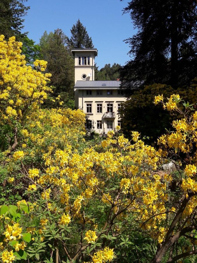 Villa Rapunzel Trifft Dornroeschen à Rosenthal-Bielatal Extérieur photo